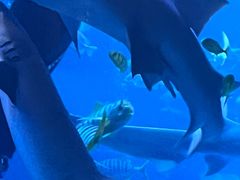 -太平洋海底世界