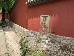 -天目山大树王景区