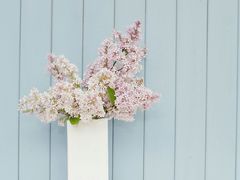 -莞府家宴·东莞菜(市民服务中心店)