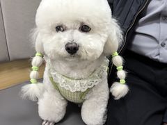 -美联众合动物医院·24h转诊中心