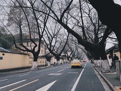 -颐和路民国时期公馆风貌区