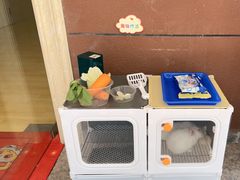 -慧享福养老机构(长寿路店)