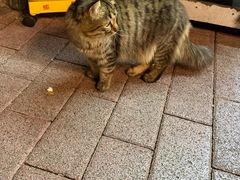 -惠食佳(滨江大公馆店)