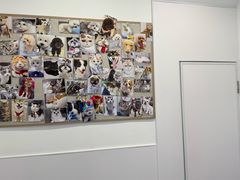 -宠物星动物医院·眼科·异宠·猫科(江南大道总院)