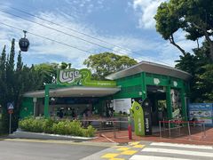 -圣淘沙天际线斜坡滑车