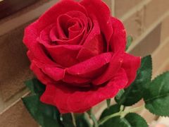 -安德烈俄式西餐厅(中央大街店)