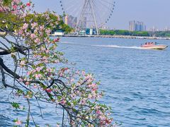 -无锡蠡湖国家湿地公园-蠡园