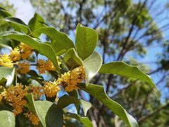 -白塘生态植物园