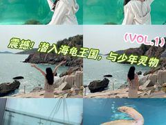 -广东惠东海龟国家级自然保护区