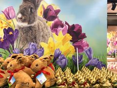 -维也纳国际机场