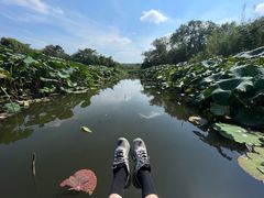 -西溪国家湿地公园