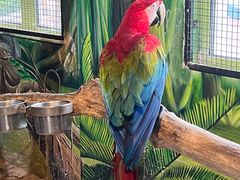 -海合安武汉极地海洋公园