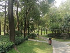 -广州珠江公园