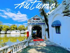 -金庭庄园酒店-停车场