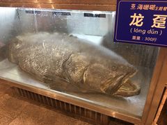 -御唐府海珊瑚主题餐厅