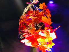 -醉小酒馆·川菜·江湖菜·重庆菜(观音桥旗舰店)