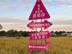 -莲花岛景区