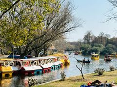 -上海共青森林公园