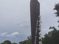 -宝安西湾红树林湿地公园