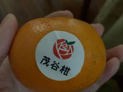 -上海龙吴水胜海发市场