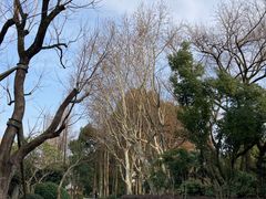 -上海醉白池公园