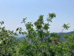 -穹窿山景区