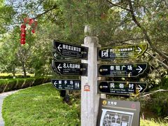 -大槐树寻根祭祖园