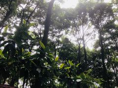 景点-金方森林温泉