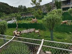 -沈阳森林动物园