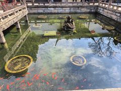 -上海醉白池公园