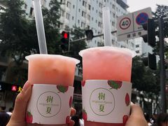 -树夏(建设路店)