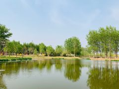 -东郊湿地公园