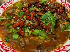 -江味龙虾馆·裸蓝龙虾(南山店)