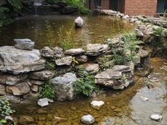 -幽岚山·童话森林