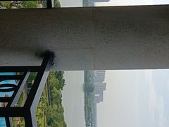 -湖北文旅洪宾红莲湖酒店