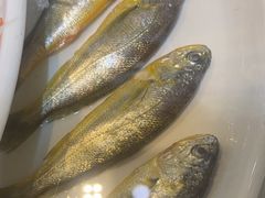 -501號台州海鲜餐厅(海创园店)