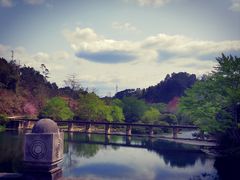 -长寿村