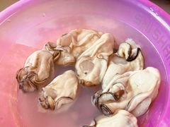 -蚝乡农庄(铁涌赤岸店)