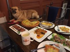 -百好乐宠物友好餐厅(朝外大街店)