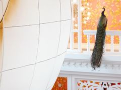 -富国岛翡翠湾 JW 万豪度假酒店