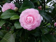 android_upload_pic-艾溪湖湿地公园