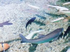-常州海昌海洋探索馆