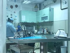 -康乐宝动物医院