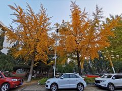 -北京邮电大学