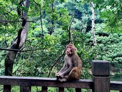-黔灵山公园