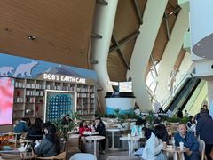 -抱抱地球咖啡馆(国家海洋博物馆店)