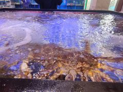 -晶渔坊·海鲜私房菜(东夷小镇店)