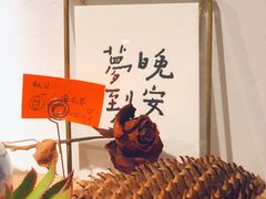 -猫里有甜