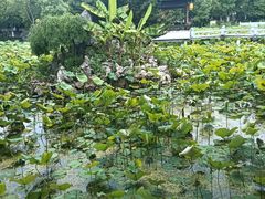-丝绸小镇荻港古村