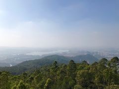 -水濂山森林公园